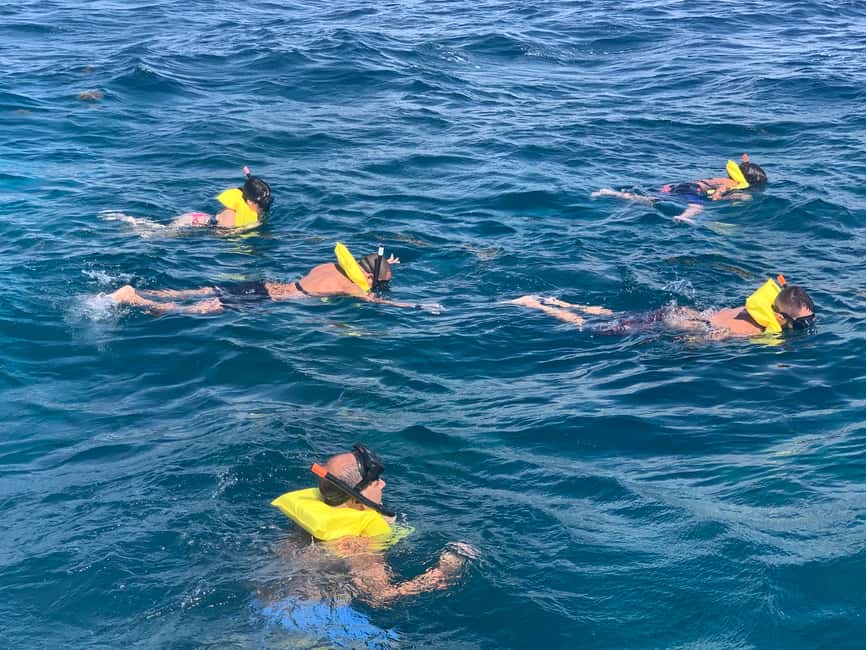 From Punta Cana: Catalina Island Swim, Sail & Snorkel - Value for $79: where the price really makes sense