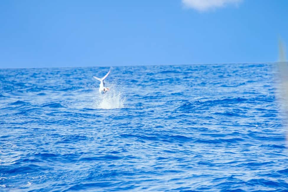 From Punta Cana: Deep Sea Fishing Tour by Boat with Drinks - Price and Value: Is $139 Fair for a 4-Hour Charter?