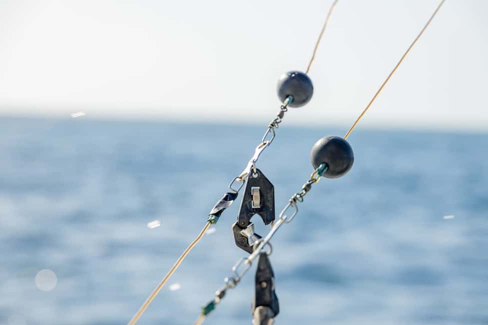 From Punta Cana: Deep Sea Fishing Tour by Boat with Drinks - Pickup and Language: Getting Matched With the Right Guide