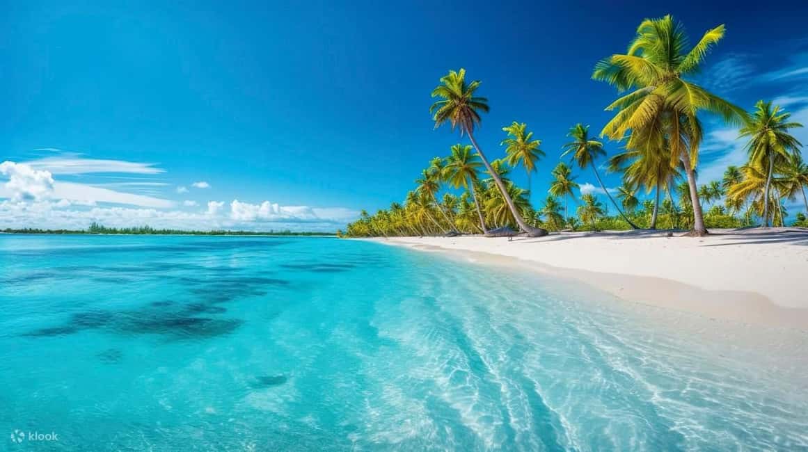 From Punta Cana: Exclusive Catalina Island Tour with Transportation and Lunch - A white-sand break in Catalina, powered by a La Romana start