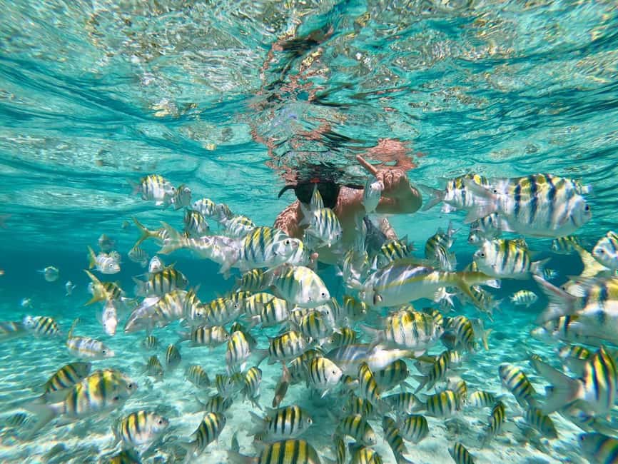 From Punta Cana: Exclusive Catalina Island Tour with Transportation and Lunch - The pacing question: is 9 hours too much?