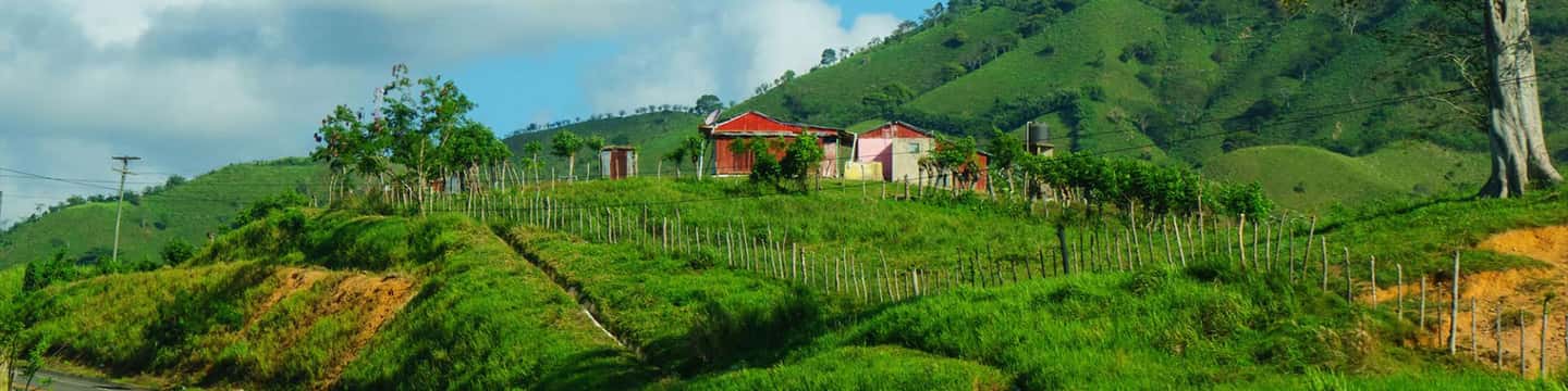 From Punta Cana: Higüey Guided Safari Tour - Finding your bearings at the municipal market viewpoint