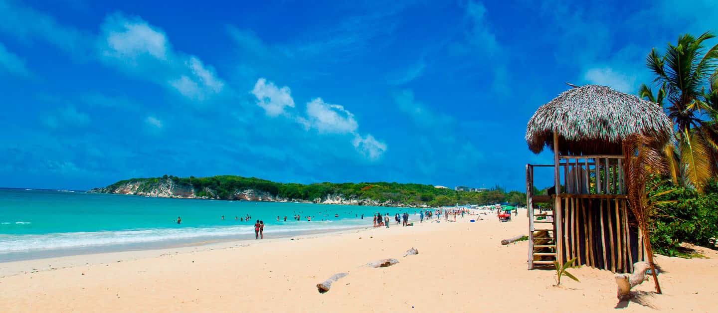 From Punta Cana: Higüey Guided Safari Tour - Ending at Macao Beach: surfboards, swimming, and sunset drinks