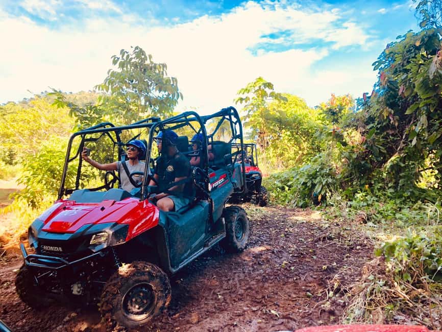 From Punta Cana: Jungle Buggy Adventure to Anamuya River - The jungle tracks: adrenaline with real Dominican terrain