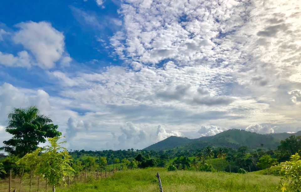 From Punta Cana: Jungle Buggy Adventure to Anamuya River - Price and value: what $89 buys in 270 minutes