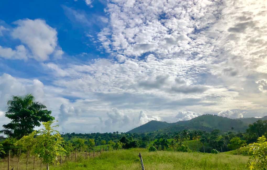 From Punta Cana: Jungle Buggy Adventure to Anamuya River - Planning tips that make your day smoother