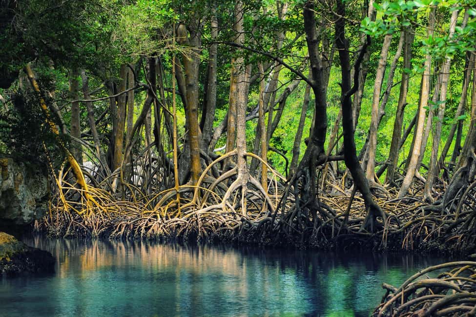 From Punta Cana: Los Haitises & Caño Hondo Private Boat Tour - Key highlights worth marking on your map