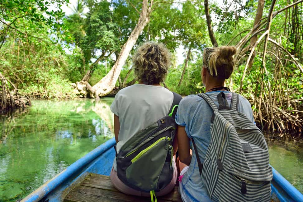 From Punta Cana: Los Haitises & Caño Hondo Private Boat Tour - Red mangroves, Mogotes, and San Lorenzo Bay views