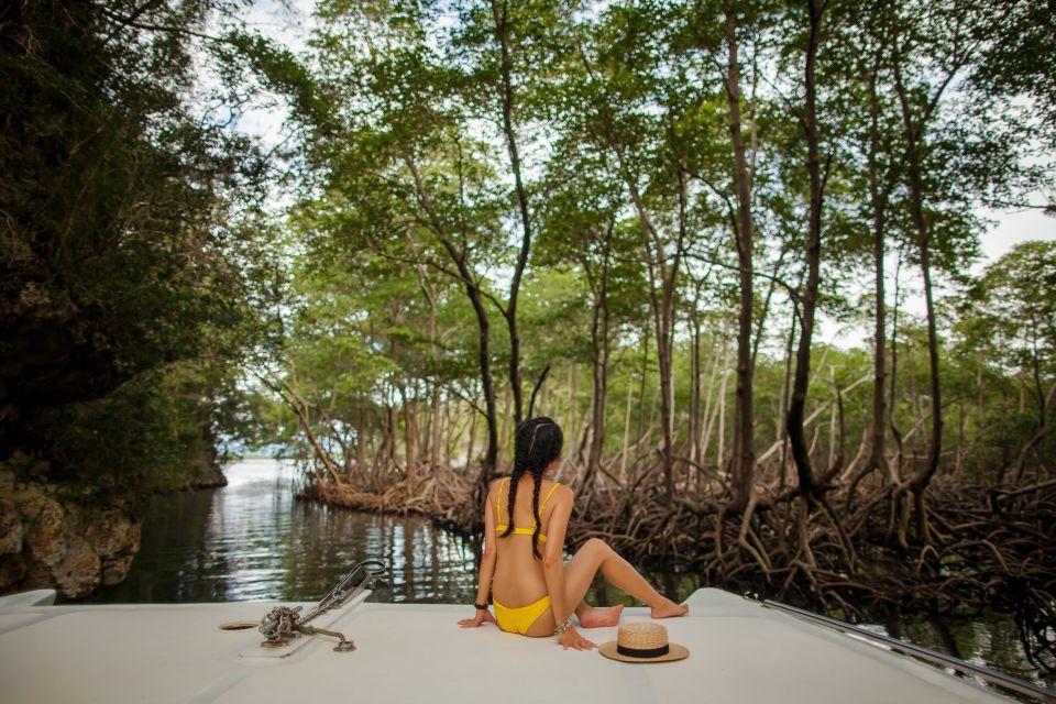 From Punta Cana: Los Haitises & Caño Hondo Private Boat Tour - Wildlife spotting from San Lorenzo Bay (how to actually do it)