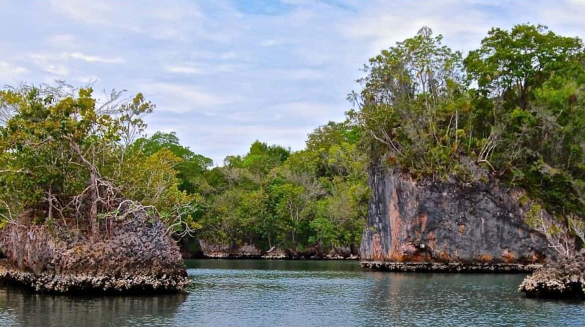 From Punta Cana: Los Haitises Guided Day Tour - Price and value: is $125 worth it?