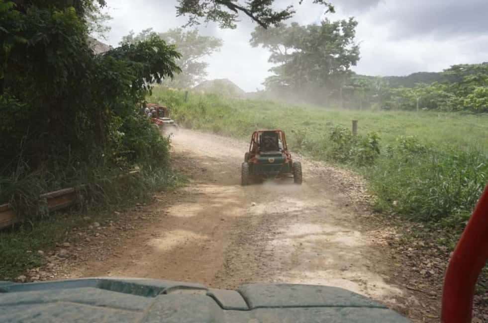 From Punta Cana or La Romana: Sugarcane Fields Buggy or Quad - Key Things to Know Before You Go