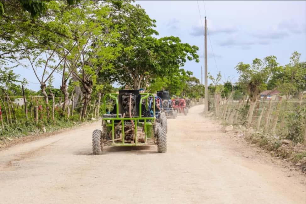 From Punta Cana or La Romana: Sugarcane Fields Buggy or Quad - Sugarcane Fields + Chavón River: What the 3 Hours Feel Like