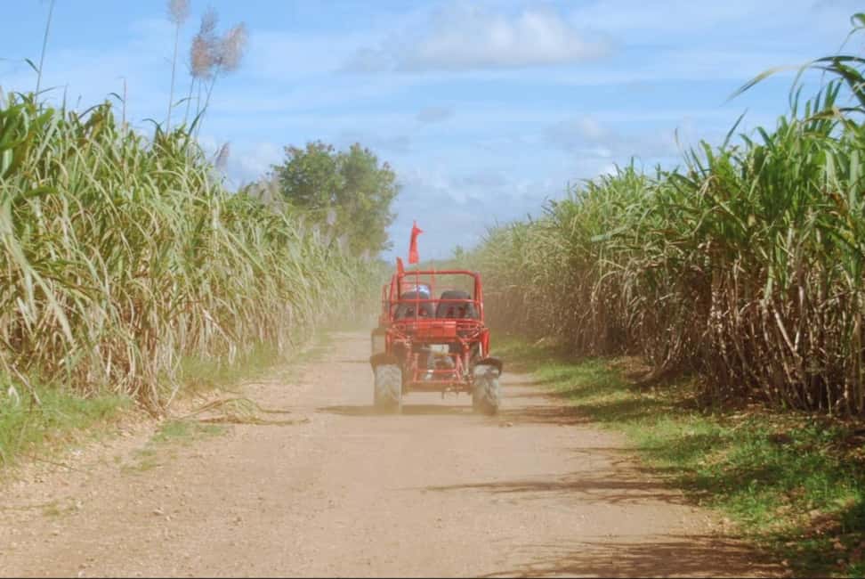 From Punta Cana or La Romana: Sugarcane Fields Buggy or Quad - Pickup and Transport from Punta Cana or La Romana (and the Places That Catch People)
