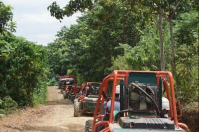 From Punta Cana or La Romana: Sugarcane Fields Buggy or Quad - Buggy vs Quad: Which Vehicle Fits Your Comfort Level