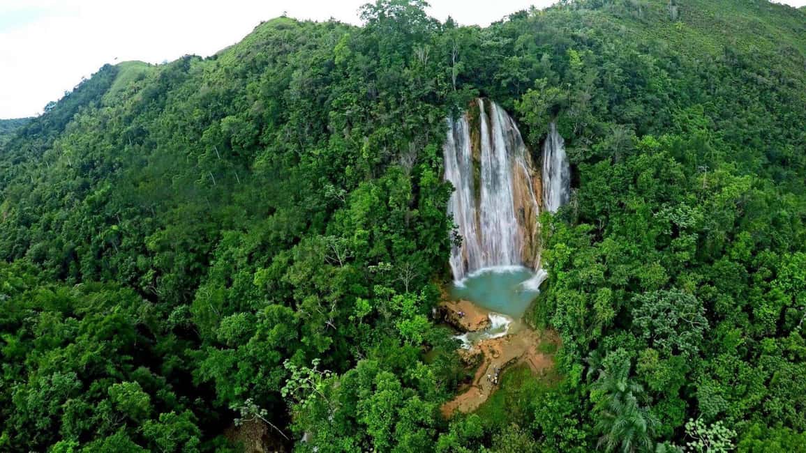 From Punta Cana: Samana and Bacardi Island Cruise and Tour - Samaná Bay boat ride and humpback whales (January–March)
