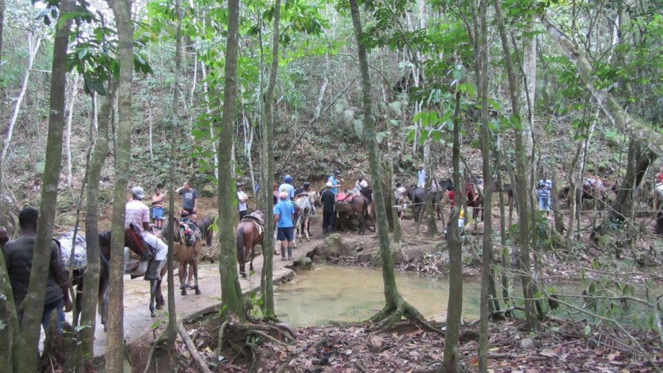 From Punta Cana: Samaná, Cayo Levantado & El Limón Waterfall - Practical packing: what actually helps on this route