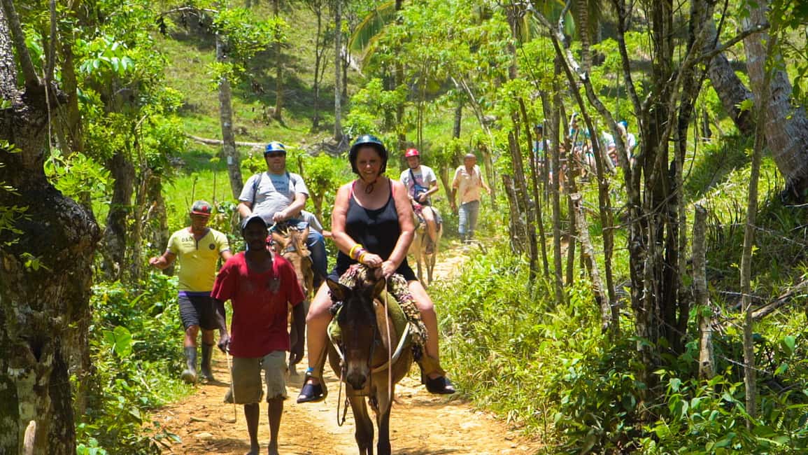 From Punta Cana: Sanctuary Whale Watching Day Trip - Who should book this, and who should skip it