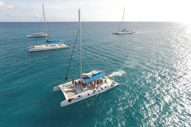 From Punta Cana: Saona Island & Altos de Chavon Day Trip with Lunch and Open Bar - Transportation details that affect your comfort more than you’d think