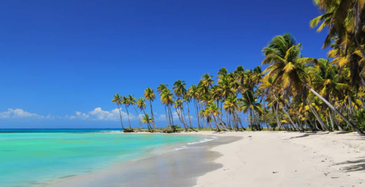 From Punta Cana: Saona Island Boat Trip with Buffet - Saona Island: why this trip centers on the water