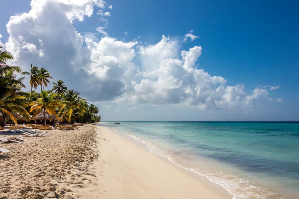 From Punta Cana: Saona Island Cruise with Private Beach - Why this guide experience feels different (Ramon and the conservation angle)