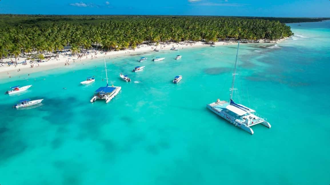 From Punta Cana: Saona Island Day Trip with Buffet Lunch - Who This Trip Suits (and Who Should Skip It)