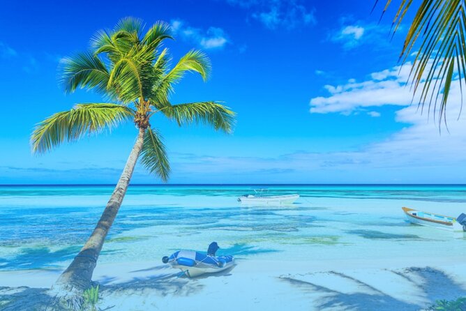 From Punta Cana: Saona Island Full Day For Small Group Catamaran - Lunch, open bar, and the day-long party energy (with food value)