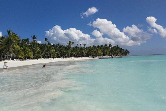 From Punta Cana: Saona Island Full Day For Small Group Catamaran - Pickup, transfers, and the one thing you can do to avoid problems