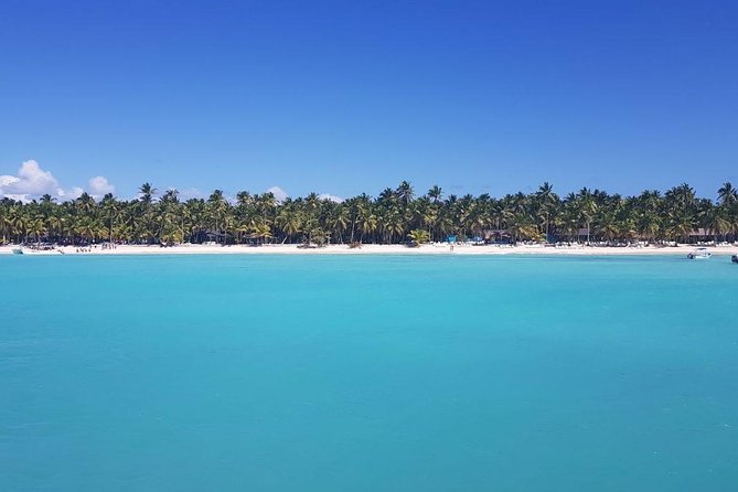 From Punta Cana: Saona Island Full Day For Small Group Catamaran - Should you book it or choose something else?