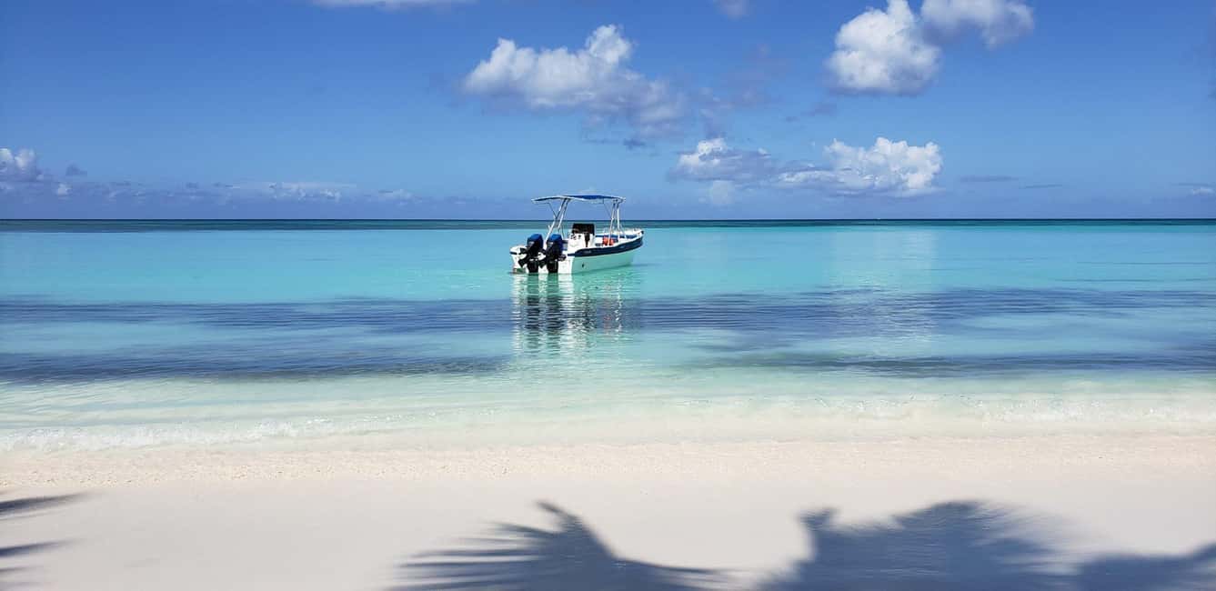 From Punta Cana: Saona Island Full-Day Tour with Lunch - Lunch on Saona: Dominican Buffet, BBQ, and Real Energy