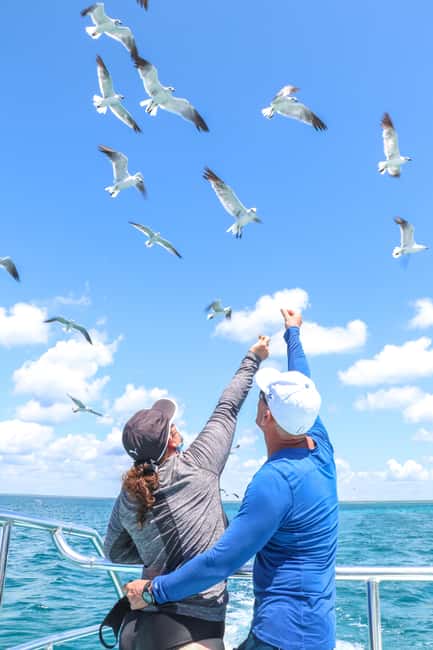 From Punta Cana: Saona Island Trip via Speedboat with Lunch - The natural pool stop: starfish spotting and practical swim time