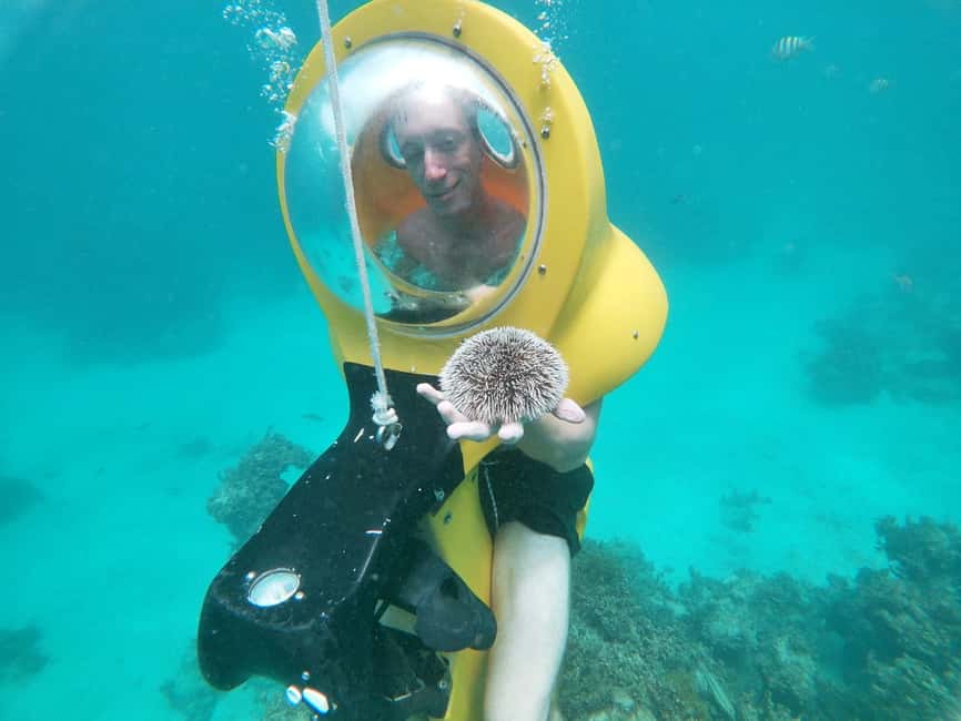From Punta Cana: ScubaDoo, Snorkel & Glass Bottom Boat Tour - Who This Tour Fits Best (And Who Should Skip It)