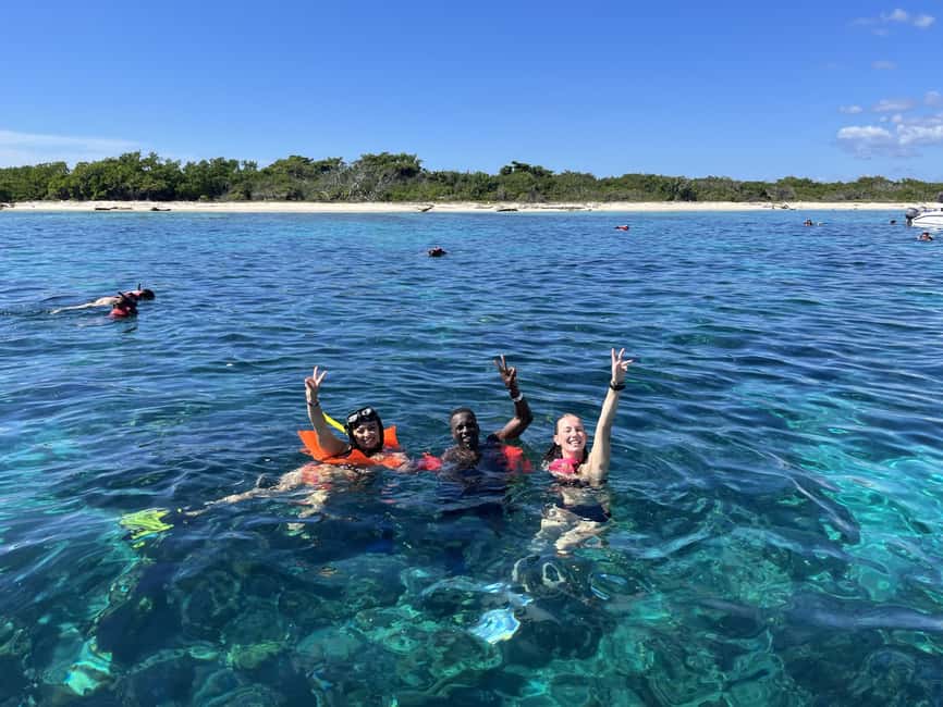From Punta Cana: Small Group Catalina Island Snorkeling Tour - Key highlights to know before you go
