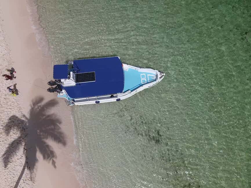 From Punta Cana: Small Group Catalina Island Snorkeling Tour - Should you book the Catalina Island snorkeling and Chavón River tour?