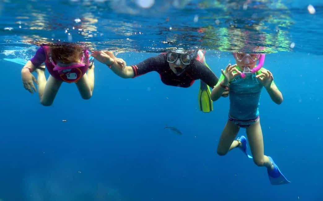 From Punta Cana: Small Group Catalina Island Snorkeling Tour - Beach time on Catalina: lunch, swimming, and a real reset