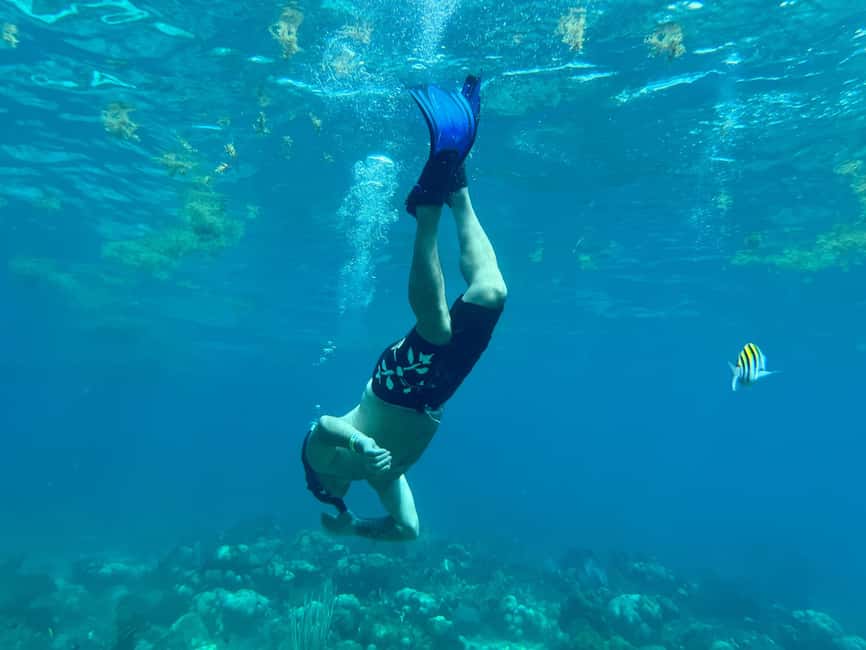 From Punta Cana: Small Group Catalina Island Snorkeling Tour - Chavón River ride and the return along the coast