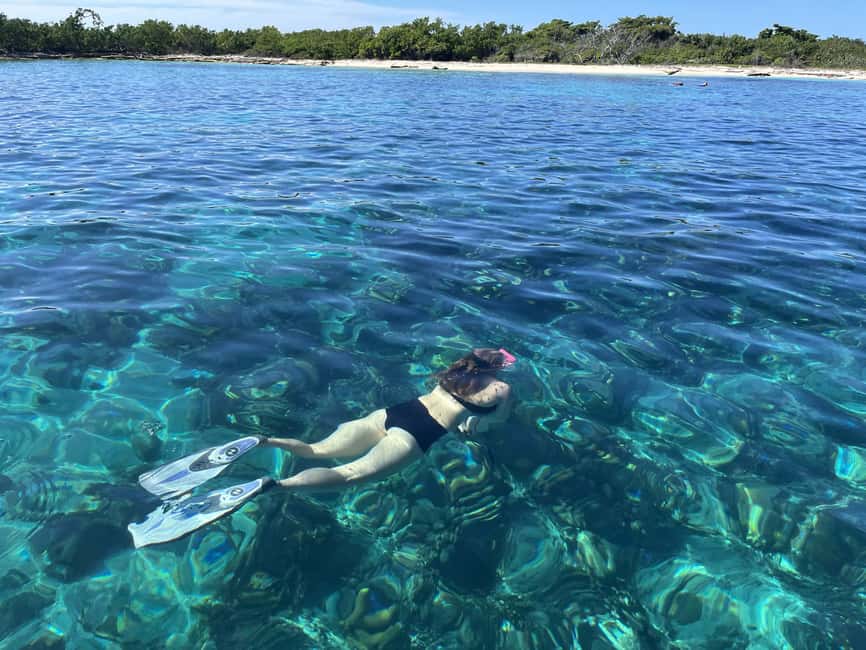 From Punta Cana: Small Group Catalina Island Snorkeling Tour - Who this tour fits best (and who should think twice)