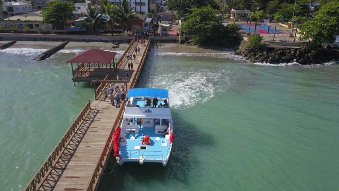 From Punta Cana: Whale Watching and Montana Redonda Tour - Punta Cana to Miches Pier: Why the early start is worth it