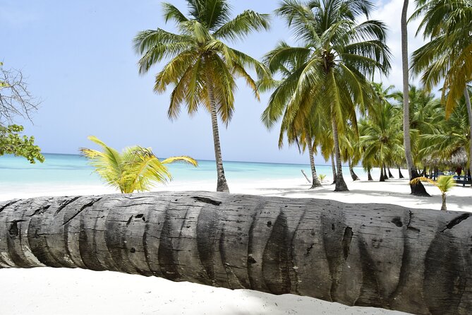 From Santo Domingo Saona Island Catamaran Tour with Lunch & Bar - Saona Island Time: Knee-Deep Water, Lunch, and a Mojito Moment