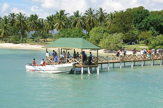 Full Day Bacardi Whale Watching - End Season March 30th - The rest of your island hours: how to spend them well