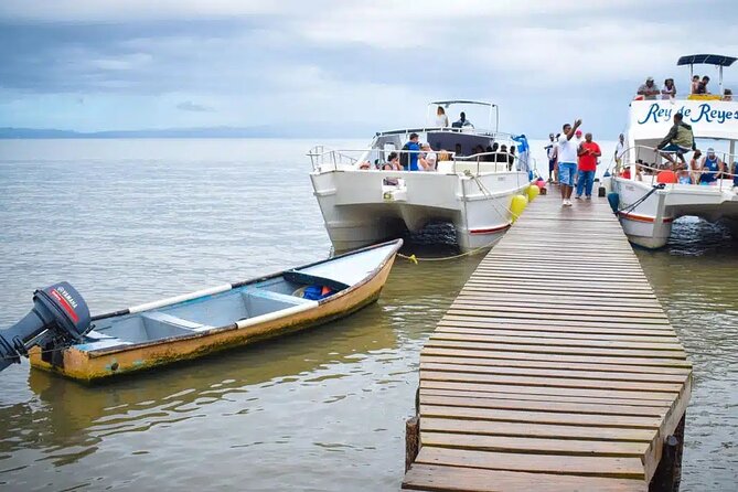 Full Day Bacardi Whale Watching - End Season March 30th - Getting value from the $165 price tag