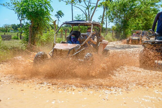 Full-day Buggy & Party Boat tour: snorkel, open bar, cave pool - Snorkeling from a catamaran: the water does the selling