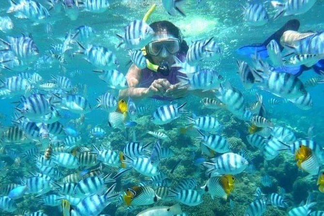 Full day Caribbean Catalina Island with snorkeling - Small logistics that can make or break the day