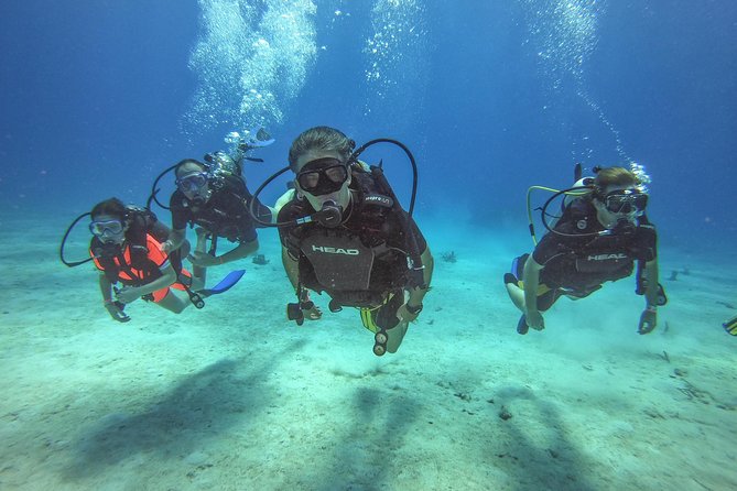 Full-Day Catalina Island Scuba Diving Tour from La Romana - Quick hits before you go