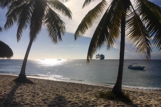 Full-Day Catalina Island Scuba Diving Tour from La Romana - Gear, tanks, and underwater comfort: what’s included