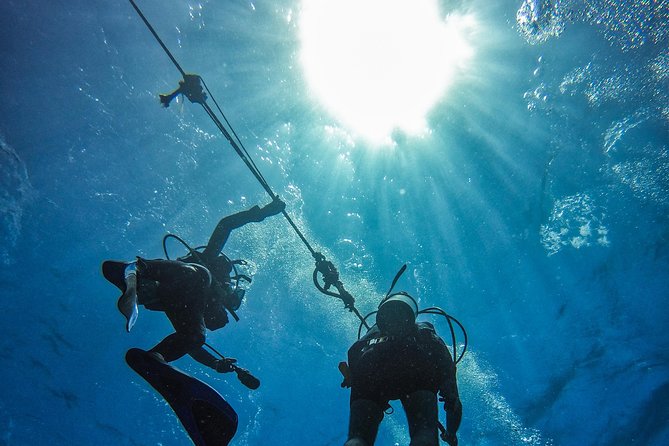 Full-Day Catalina Island Scuba Diving Tour from La Romana - The private beach after your underwater sessions: BBQ, drinks, and lounging