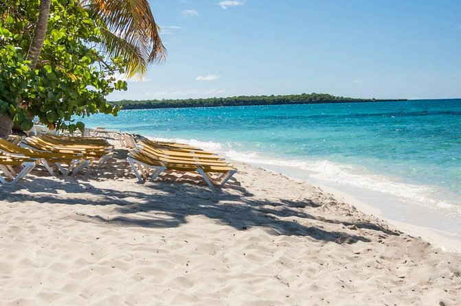 Full-Day Catalina Island Scuba Diving Tour from La Romana - The Wall and The Aquarium: what you’ll actually see under the water