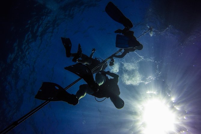 Full-Day Catalina Island Scuba Diving Tour from Punta Cana - Gear, safety briefings, and the certification reality check
