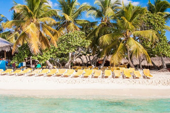 Full-Day Catalina Island Scuba Diving Tour from Punta Cana - Should you book this Catalina Island scuba tour from Punta Cana?