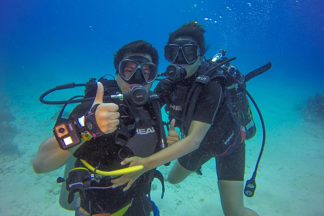 Full-Day Catalina Island Scuba Diving Tour from Punta Cana - Scuba on The Wall and Aquarium: what you’ll see and how deep