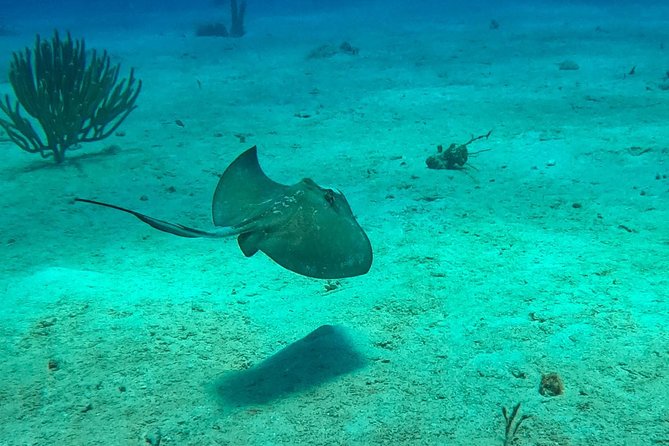 Full-Day Catalina Island Snorkeling Tour from Bavaro - Group Size, Comfort, and the Crowding Reality Check